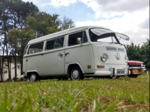 Safari Kombi Clipper window