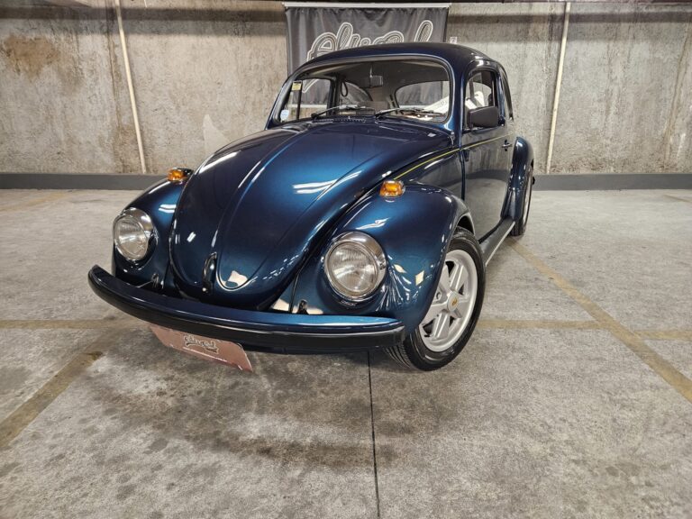 B060 – VW BEETLE 1995