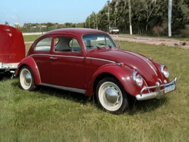 B202 – VW BEETLE 1965