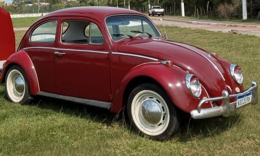 B202 – VW BEETLE 1965