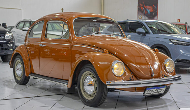 B243 – VW BEETLE 1973