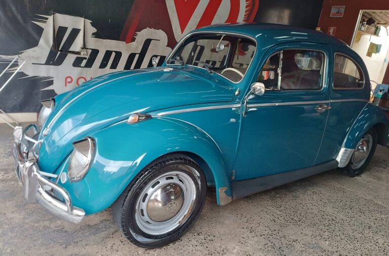 B301 – VW BEETLE 1965