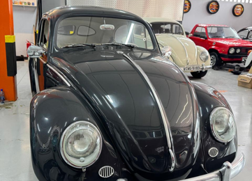 B238 – VW BEETLE 1966