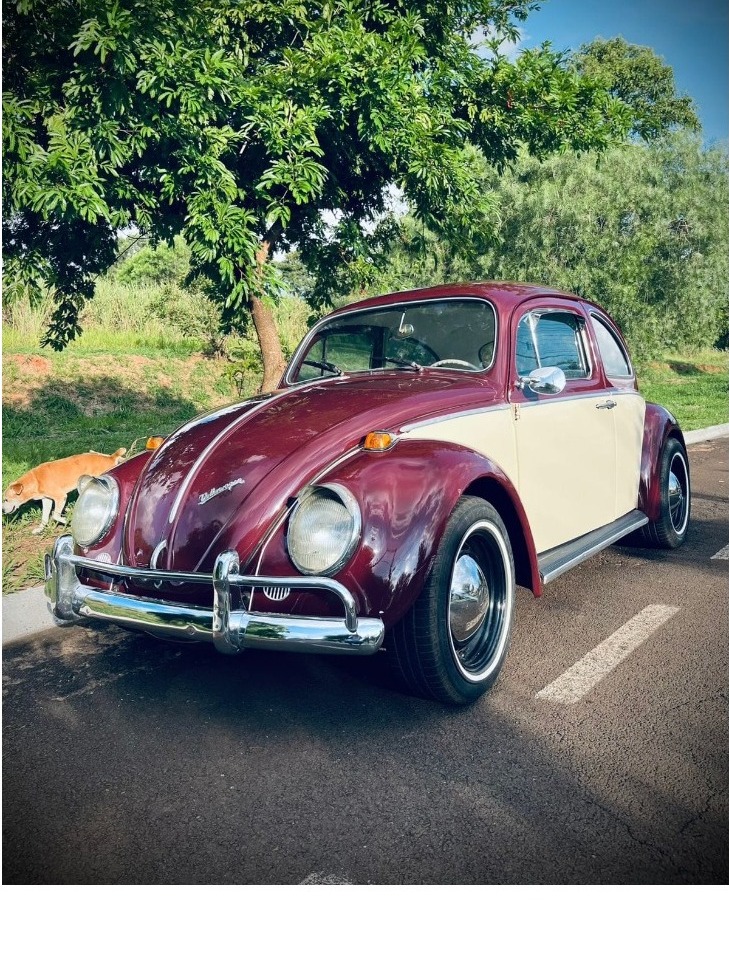 B385 – VW BEETLE 1966